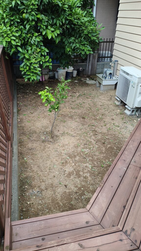 家の庭の草取りをしました。